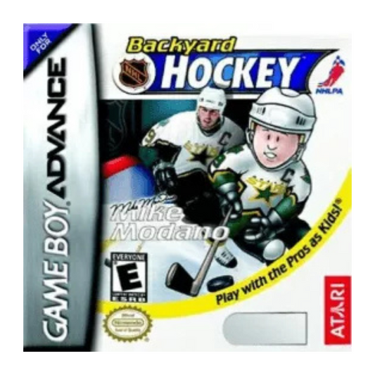Backyard Hockey